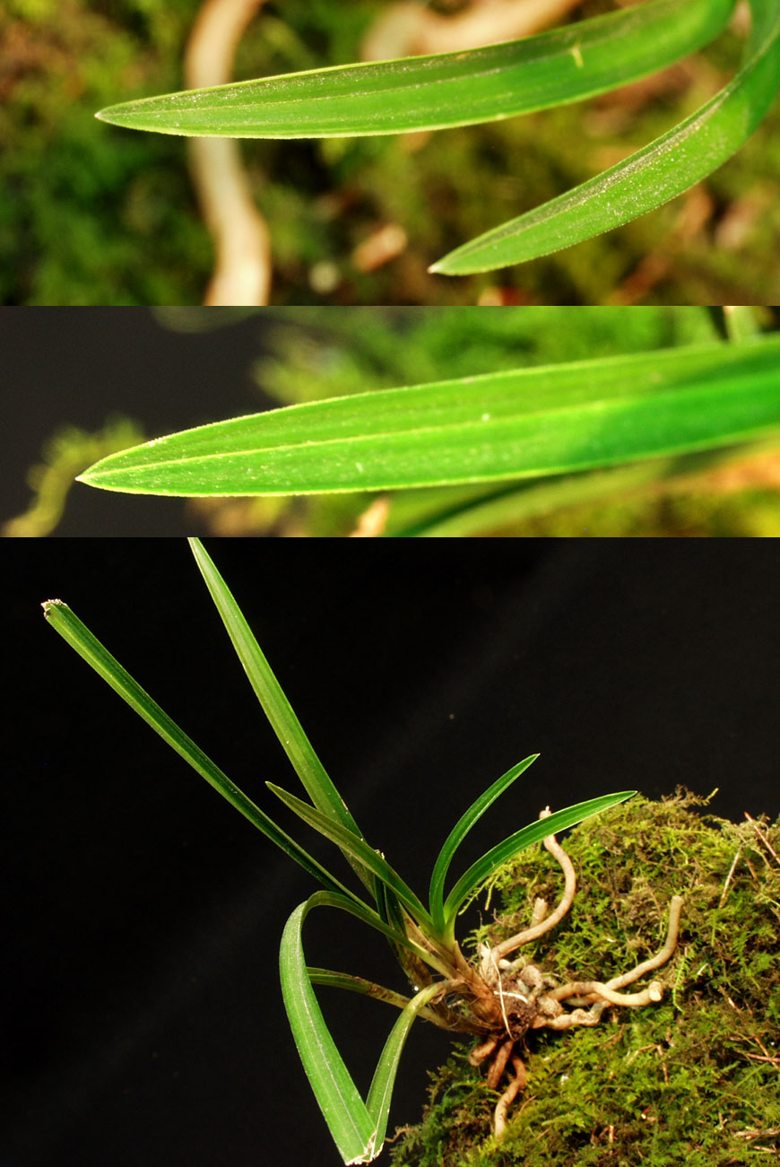 ������ ū������ �� �� �ֽ��ϴ�.