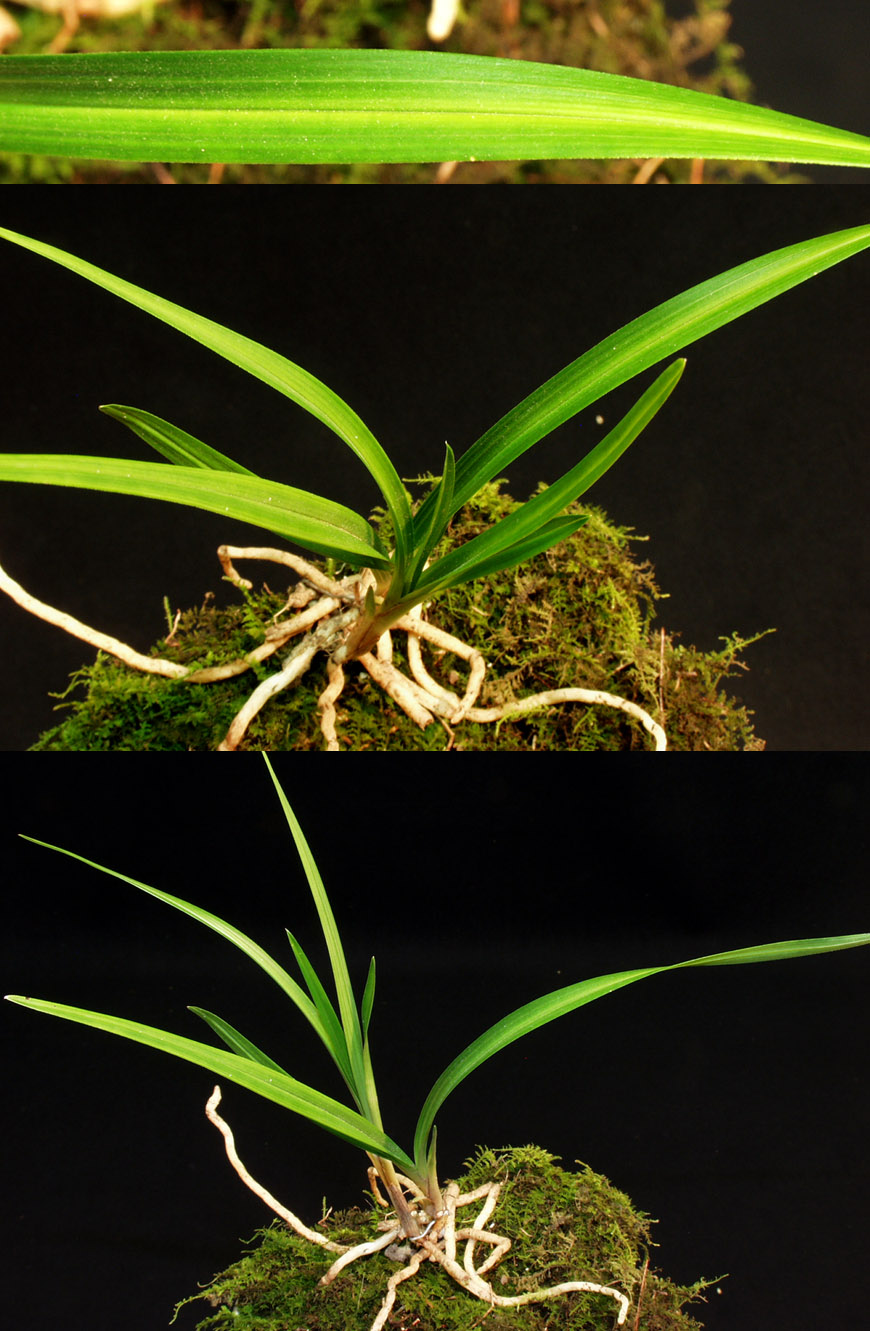 ������ ū������ �� �� �ֽ��ϴ�.