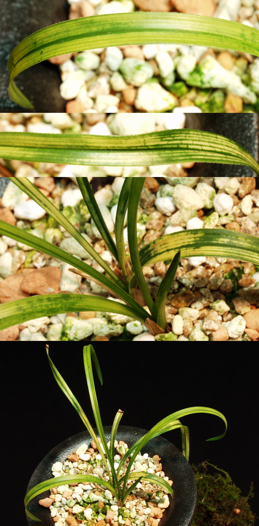 ������ ū������ �� �� �ֽ��ϴ�.