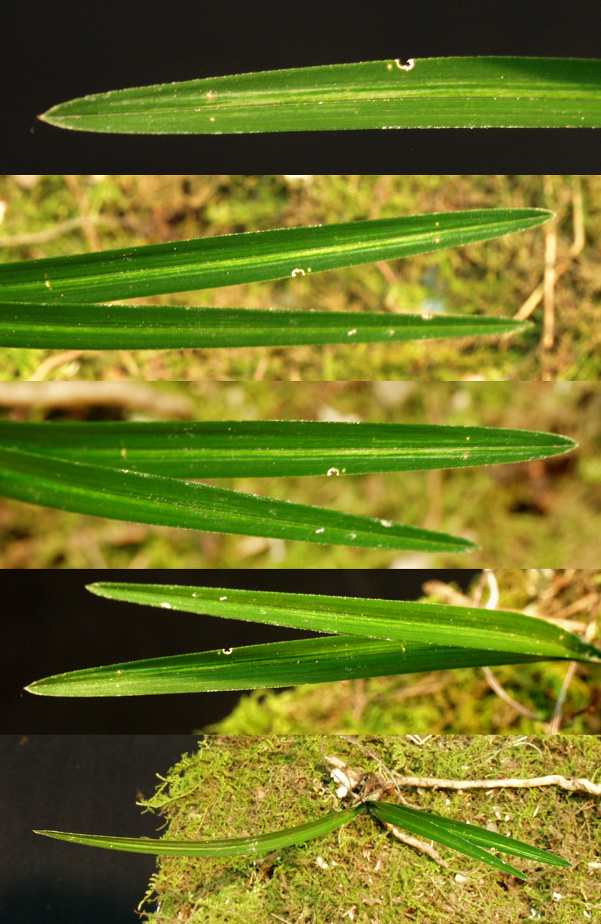 ������ ū������ �� �� �ֽ��ϴ�.