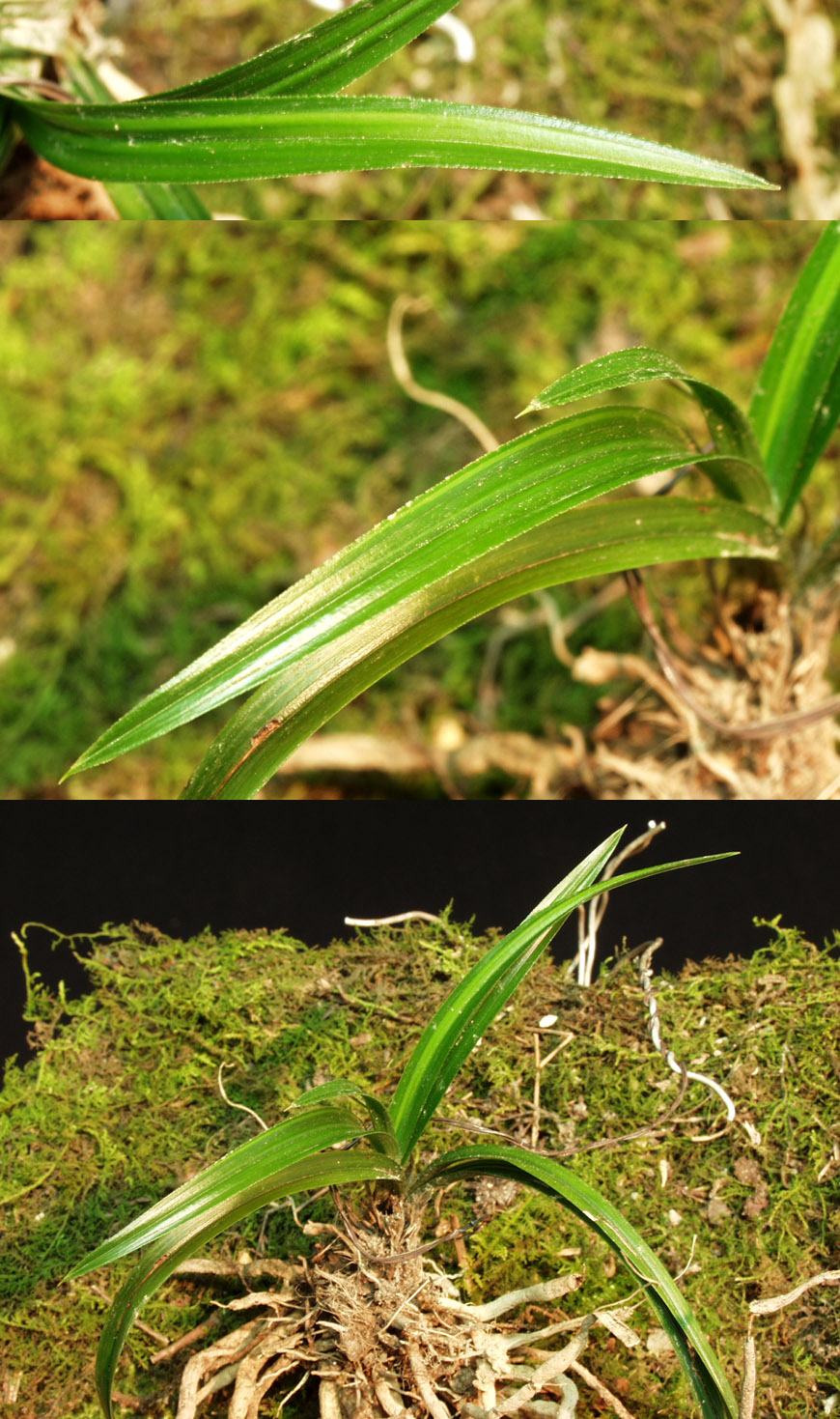 ������ ū������ �� �� �ֽ��ϴ�.