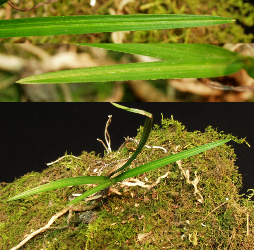 ������ ū������ �� �� �ֽ��ϴ�.