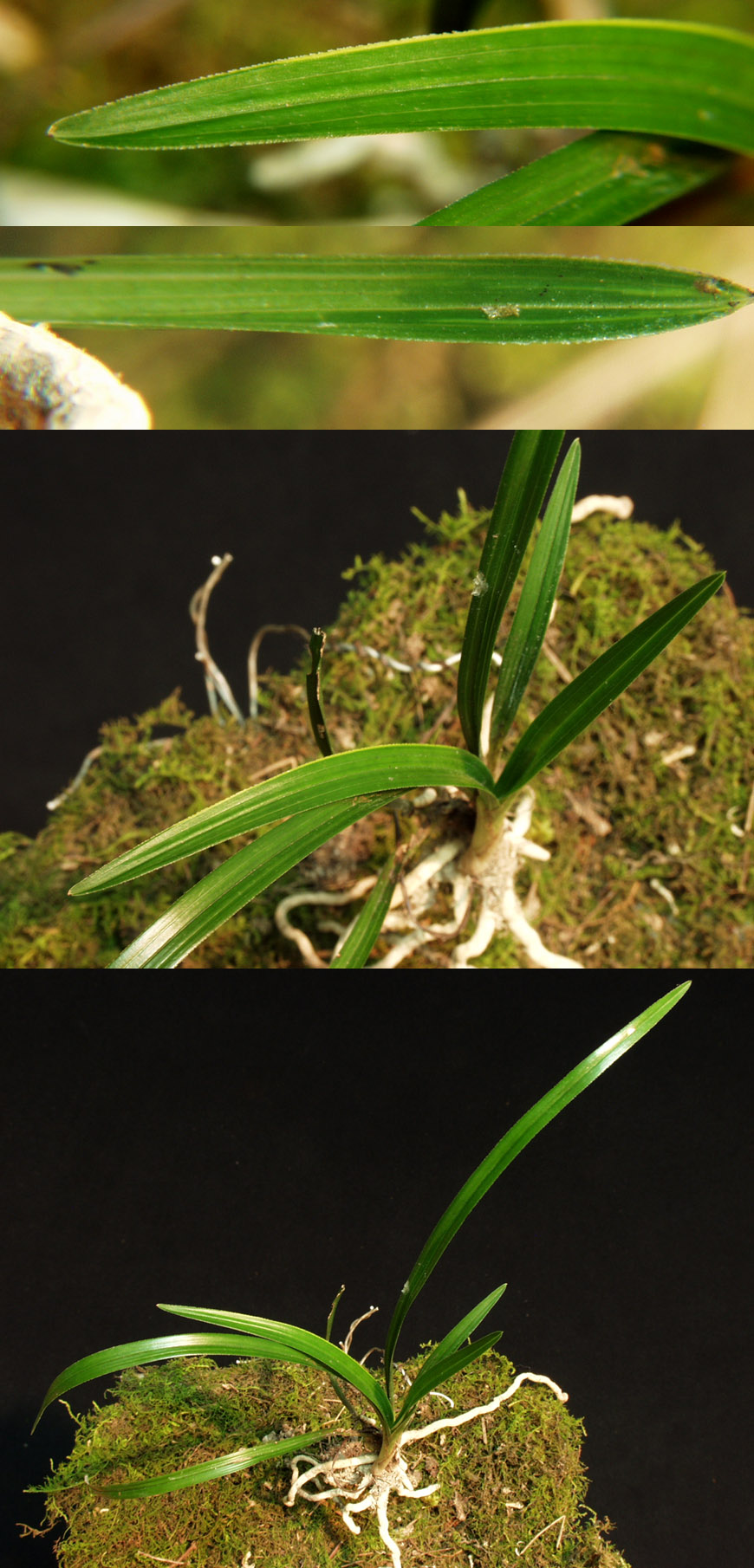 ������ ū������ �� �� �ֽ��ϴ�.