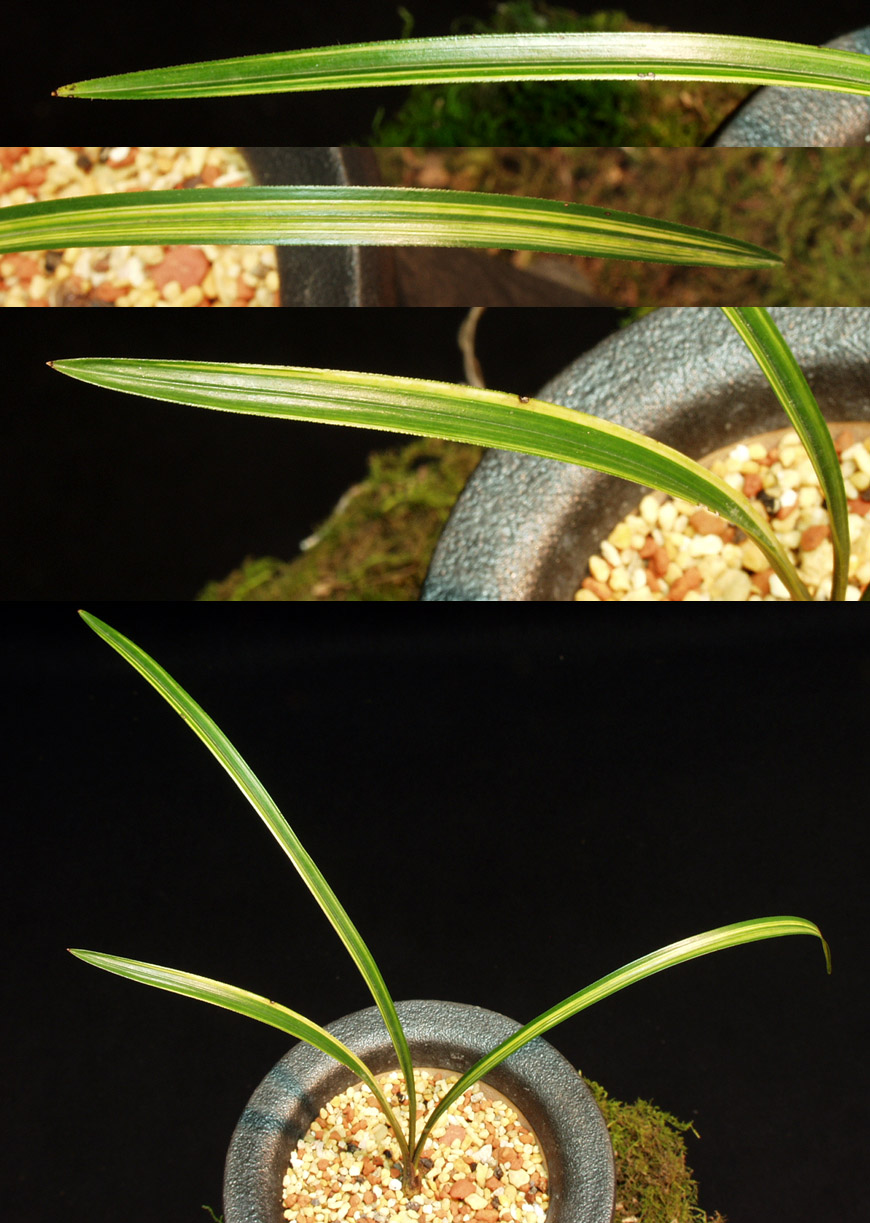 ������ ū������ �� �� �ֽ��ϴ�.