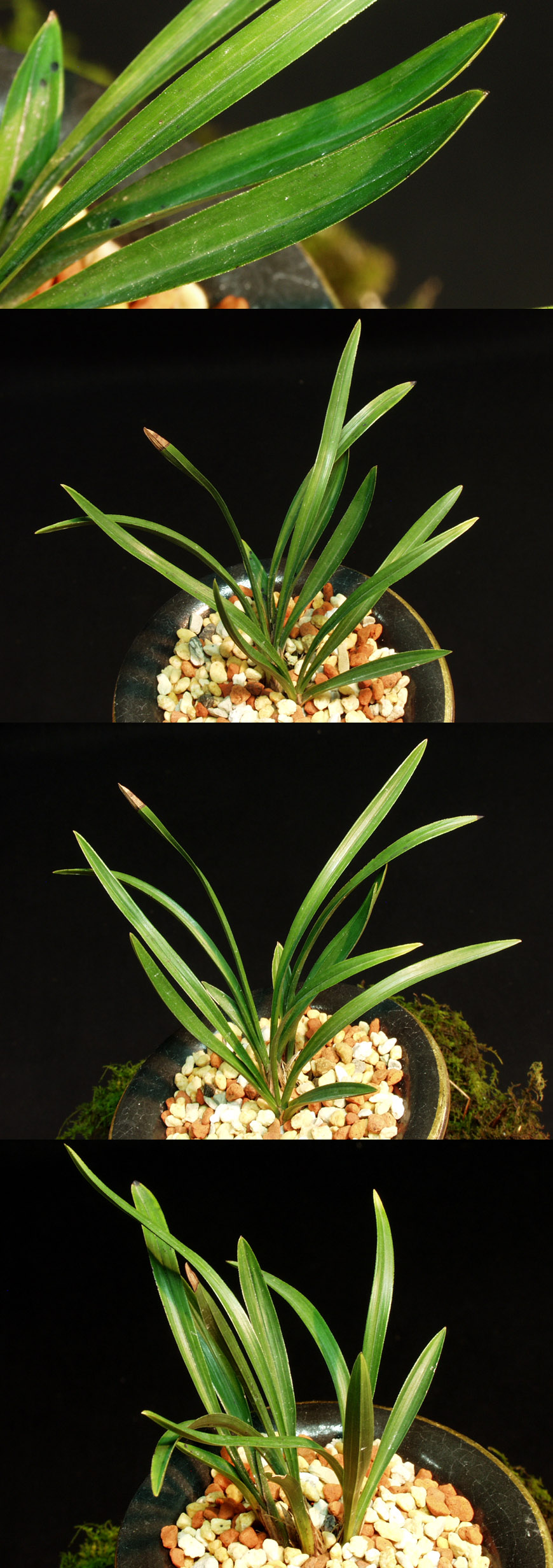 ������ ū������ �� �� �ֽ��ϴ�.