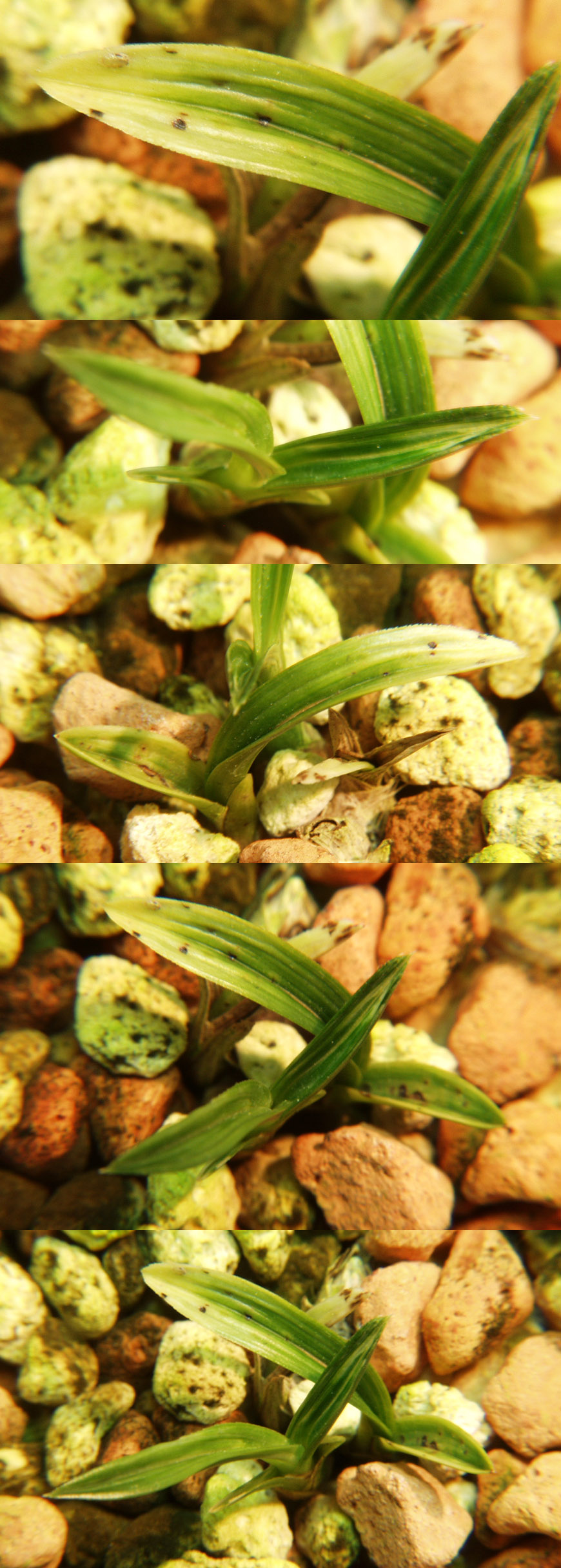 ������ ū������ �� �� �ֽ��ϴ�.