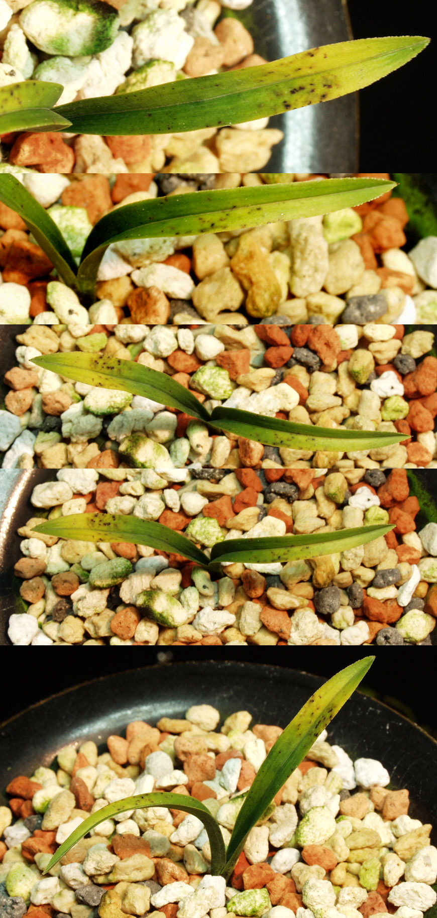 ������ ū������ �� �� �ֽ��ϴ�.