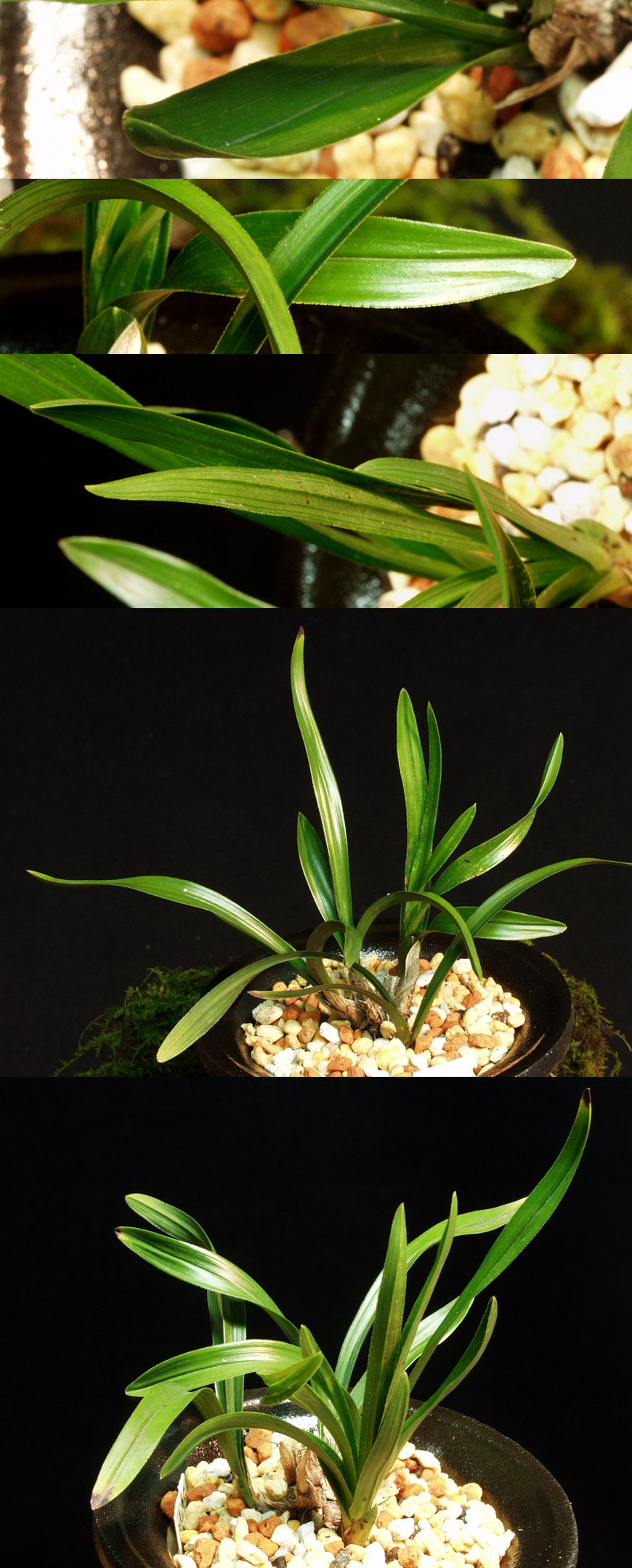 ������ ū������ �� �� �ֽ��ϴ�.