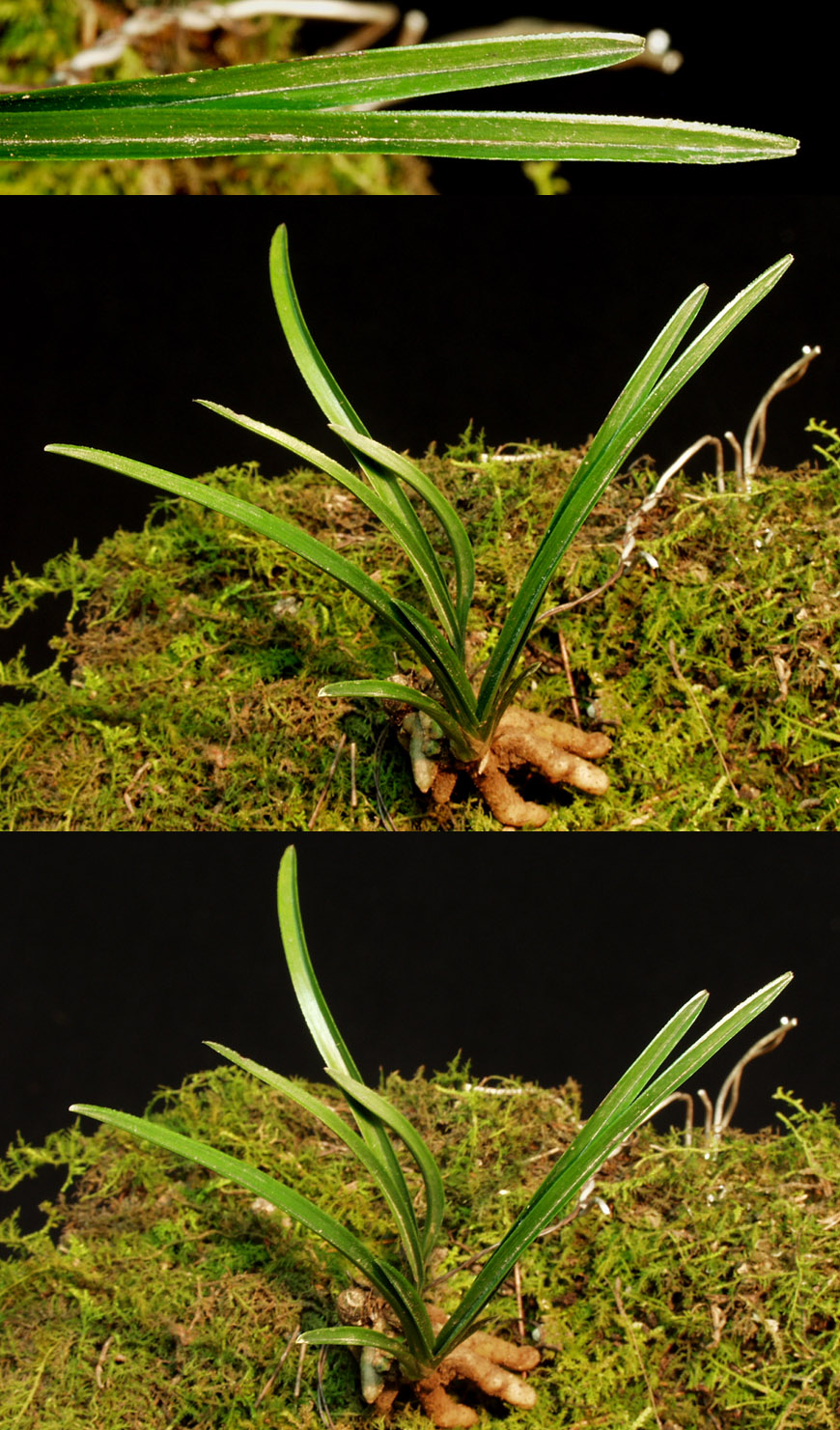 ������ ū������ �� �� �ֽ��ϴ�.