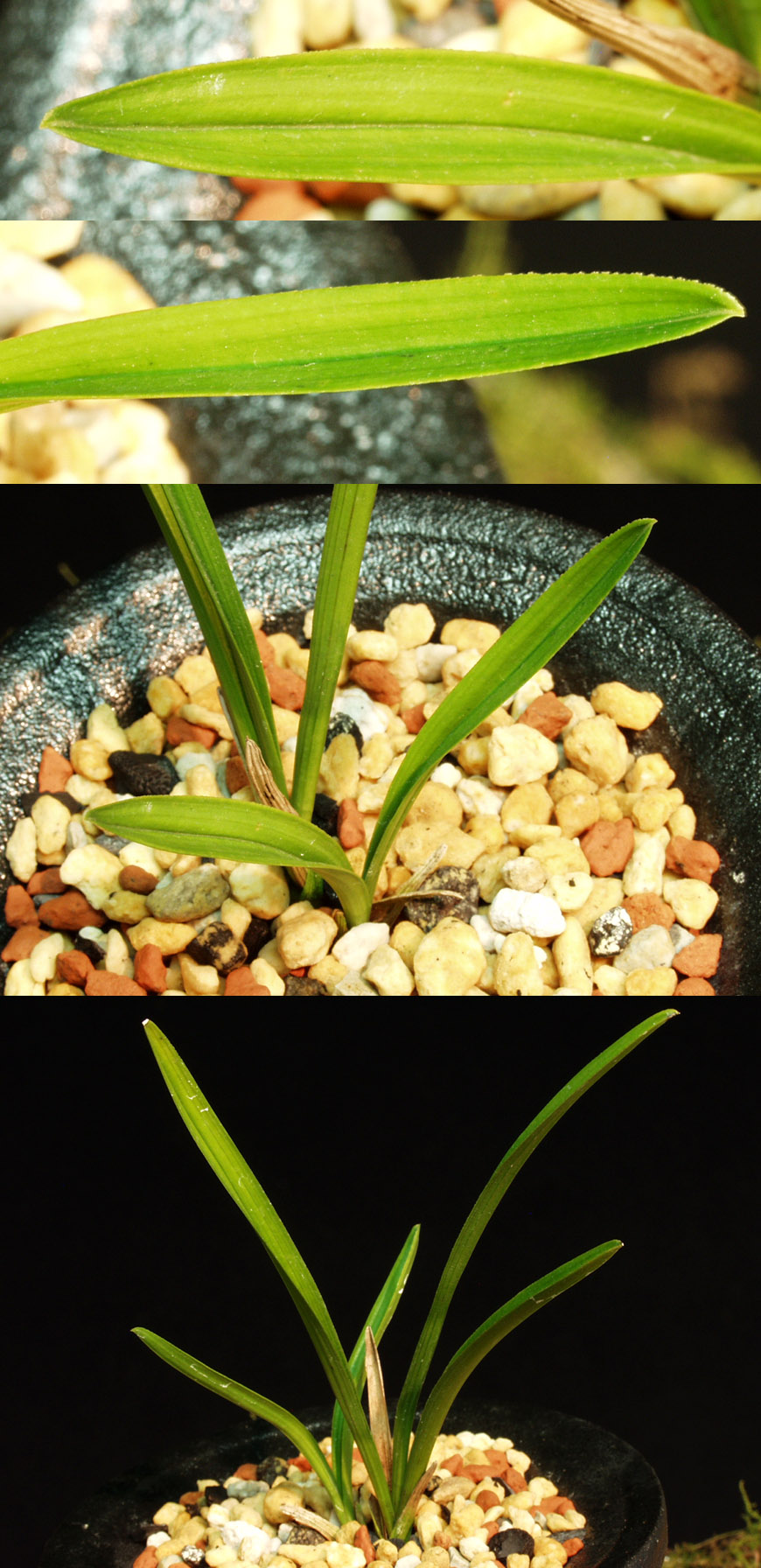 ������ ū������ �� �� �ֽ��ϴ�.