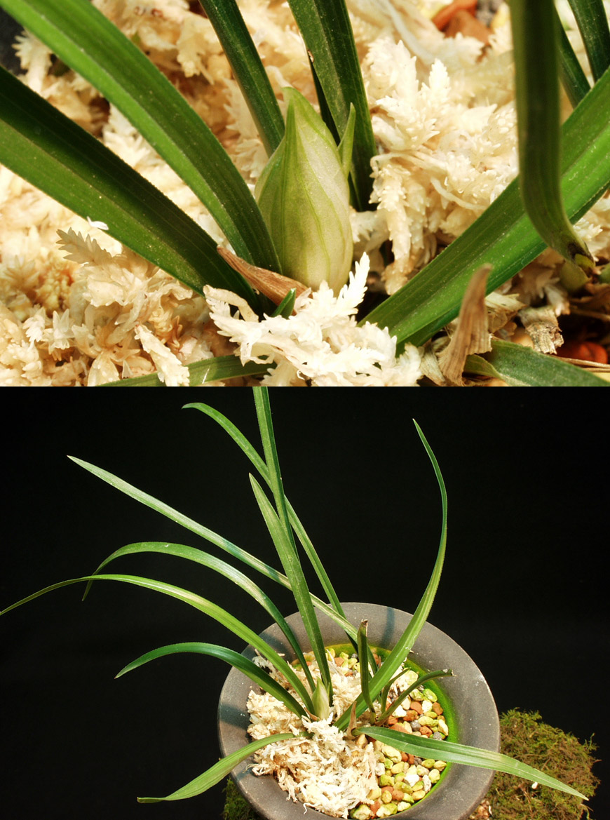 ������ ū������ �� �� �ֽ��ϴ�.