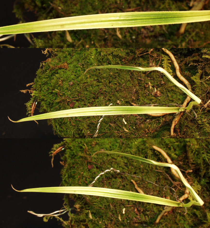 ������ ū������ �� �� �ֽ��ϴ�.