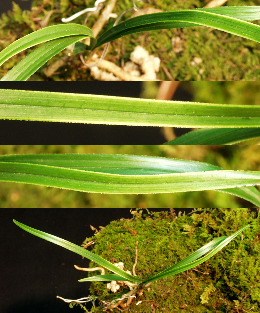 ������ ū������ �� �� �ֽ��ϴ�.