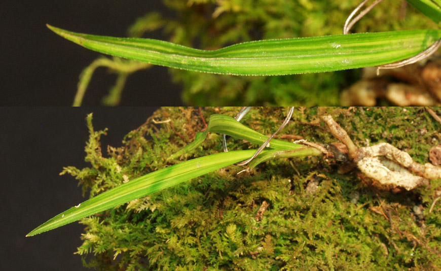 ������ ū������ �� �� �ֽ��ϴ�.