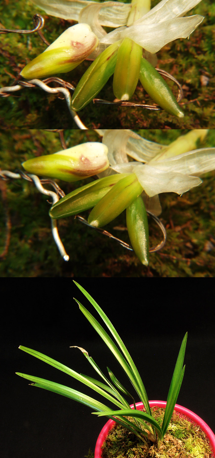 ������ ū������ �� �� �ֽ��ϴ�.