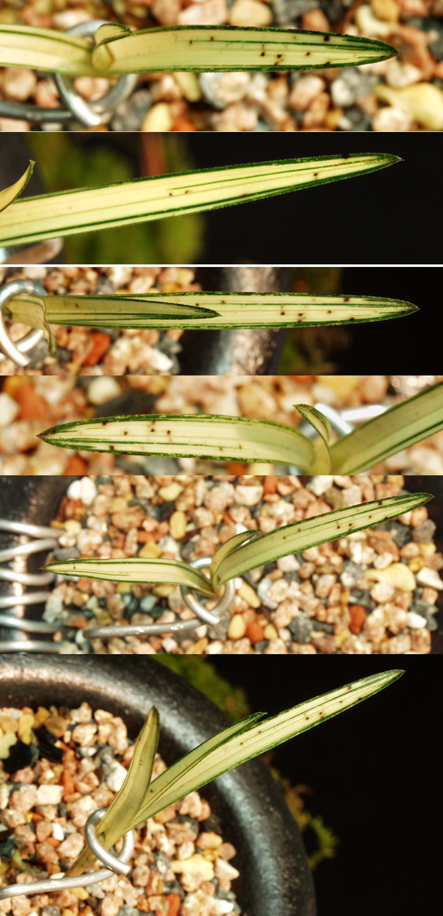 ������ ū������ �� �� �ֽ��ϴ�.