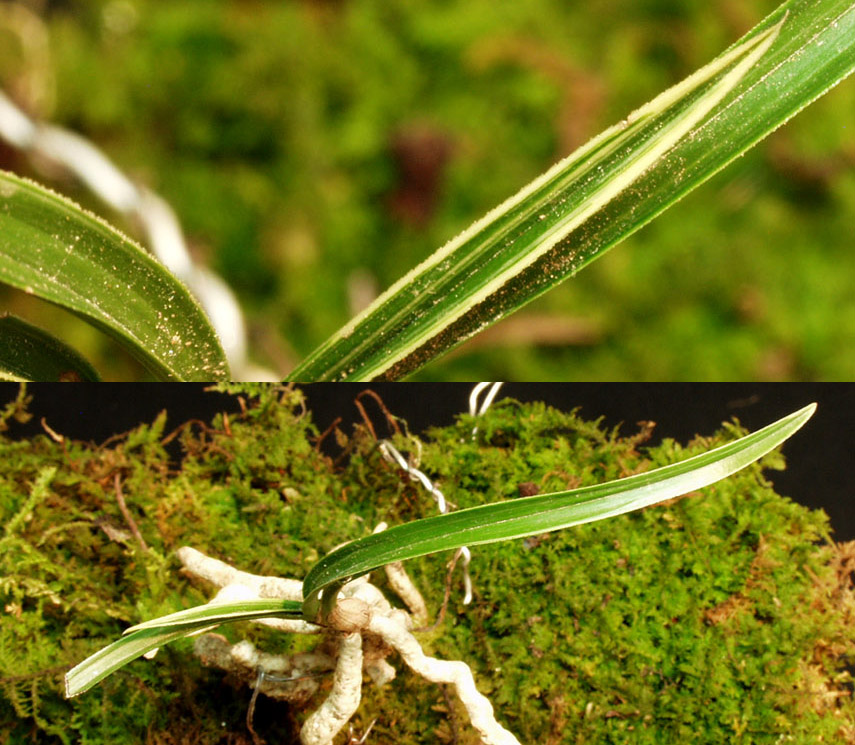 ������ ū������ �� �� �ֽ��ϴ�.