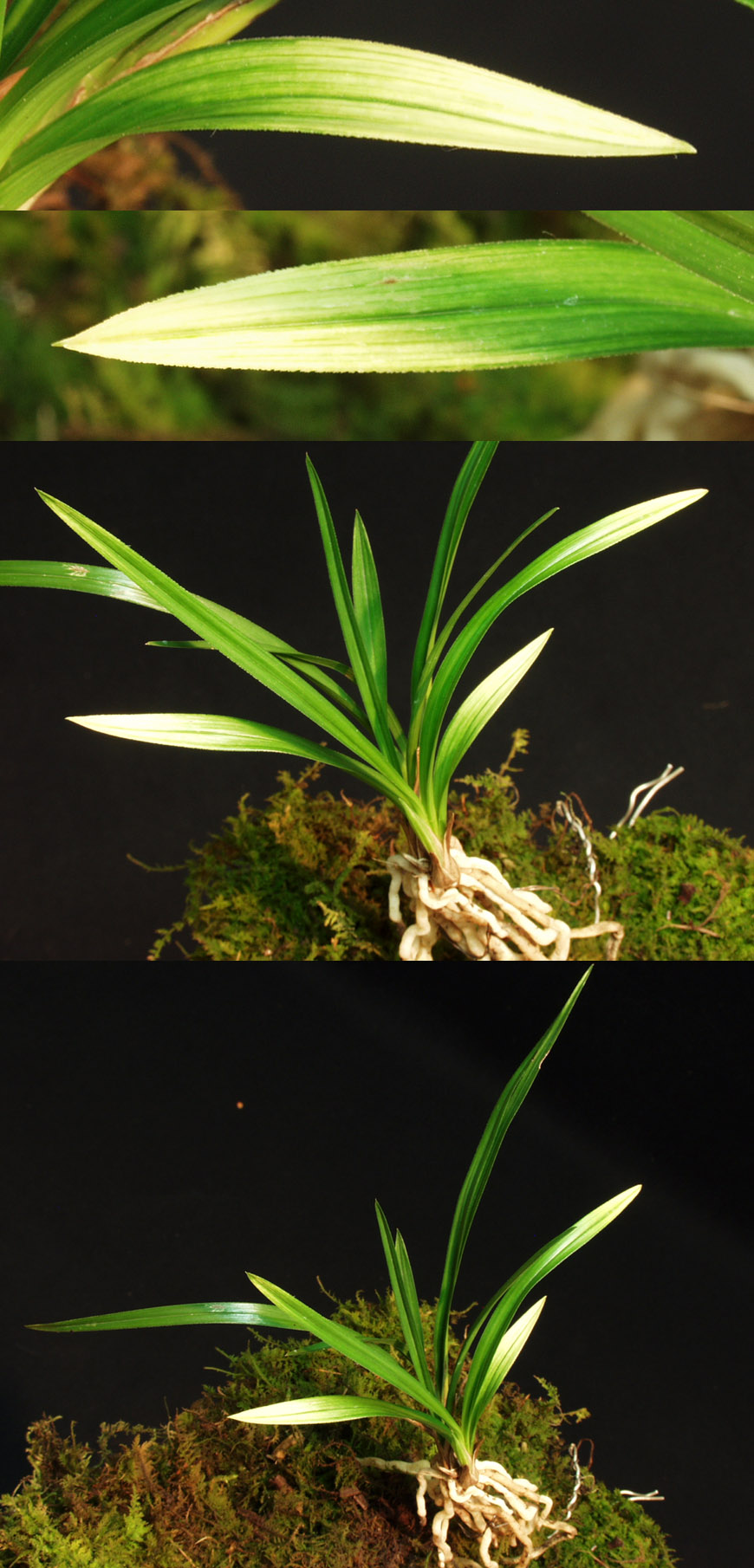 ������ ū������ �� �� �ֽ��ϴ�.