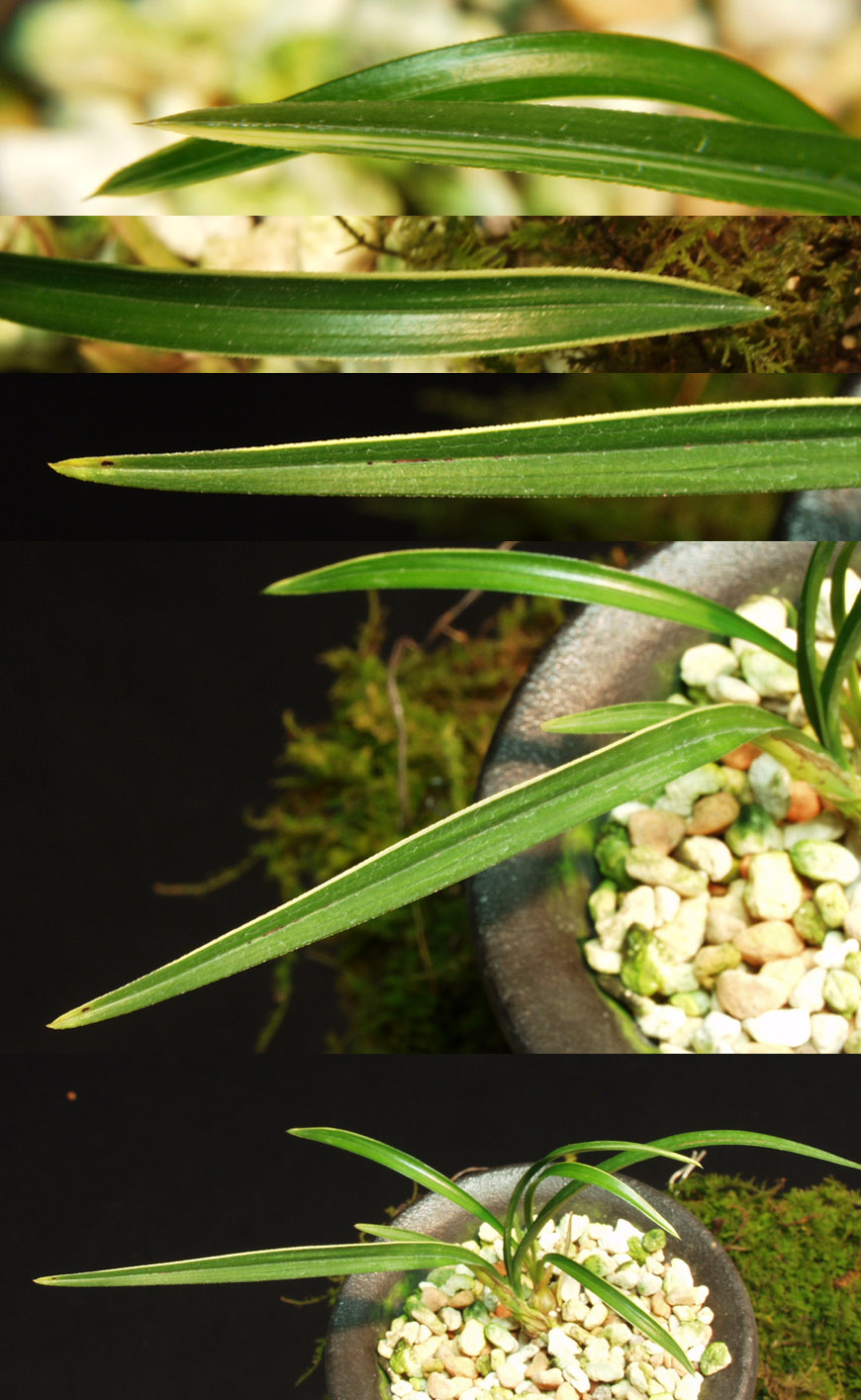 ������ ū������ �� �� �ֽ��ϴ�.