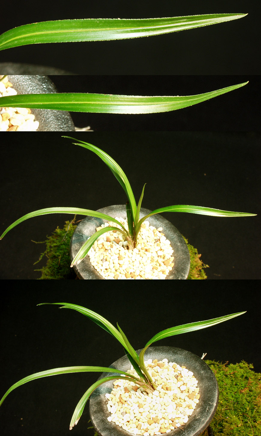 ������ ū������ �� �� �ֽ��ϴ�.