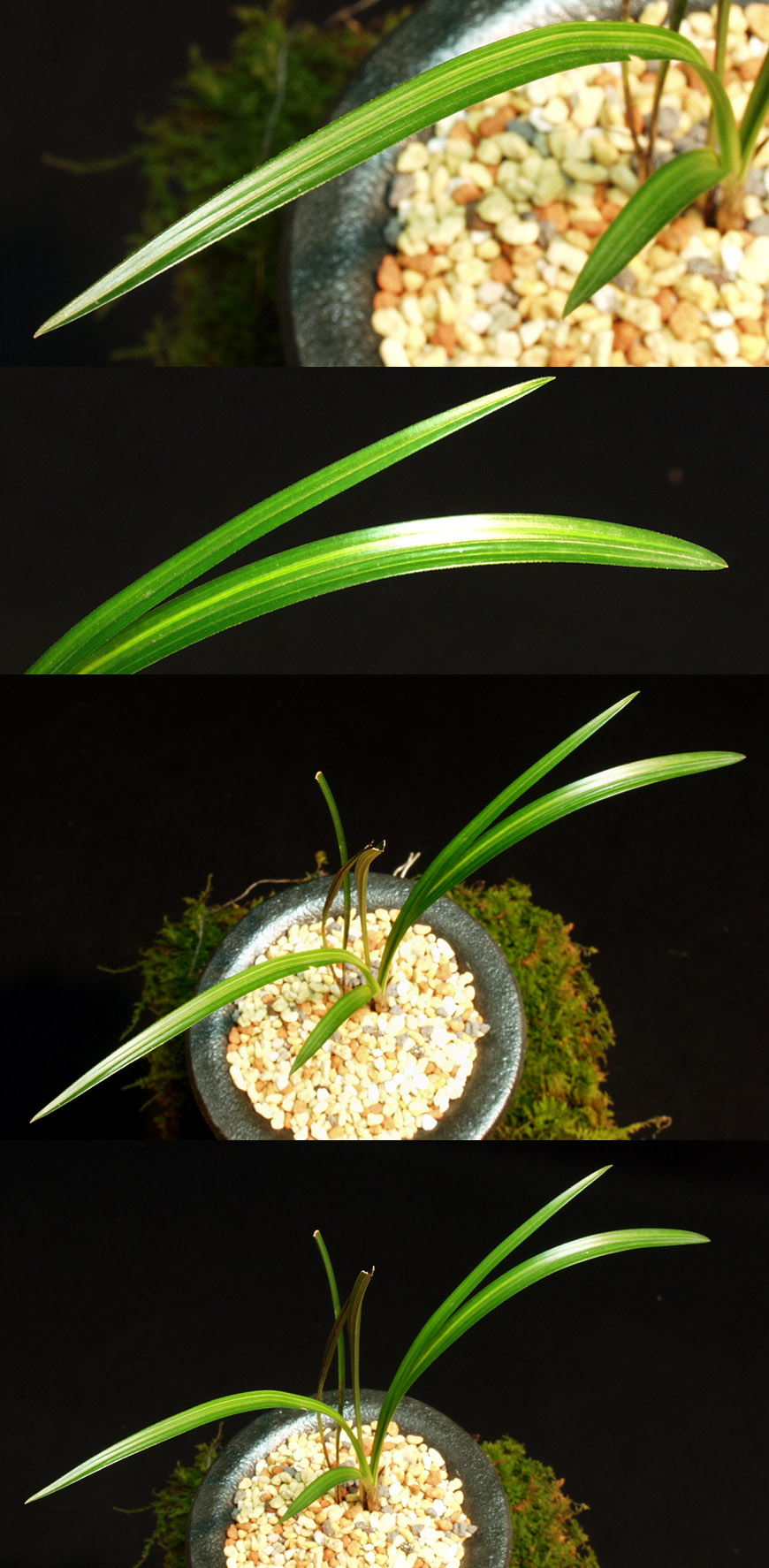 ������ ū������ �� �� �ֽ��ϴ�.