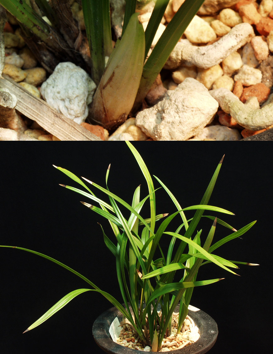 ������ ū������ �� �� �ֽ��ϴ�.