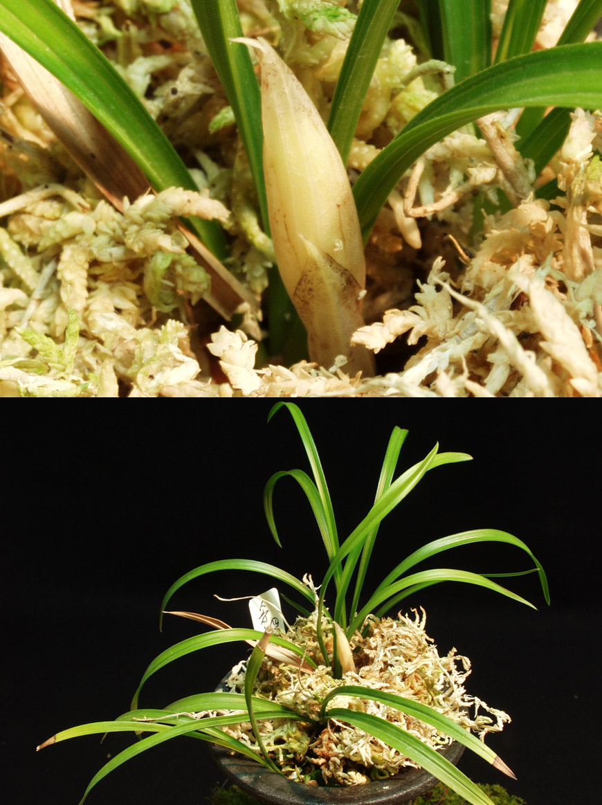 ������ ū������ �� �� �ֽ��ϴ�.