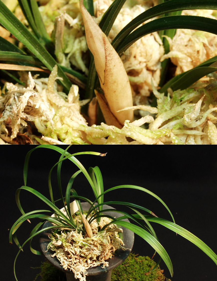 ������ ū������ �� �� �ֽ��ϴ�.