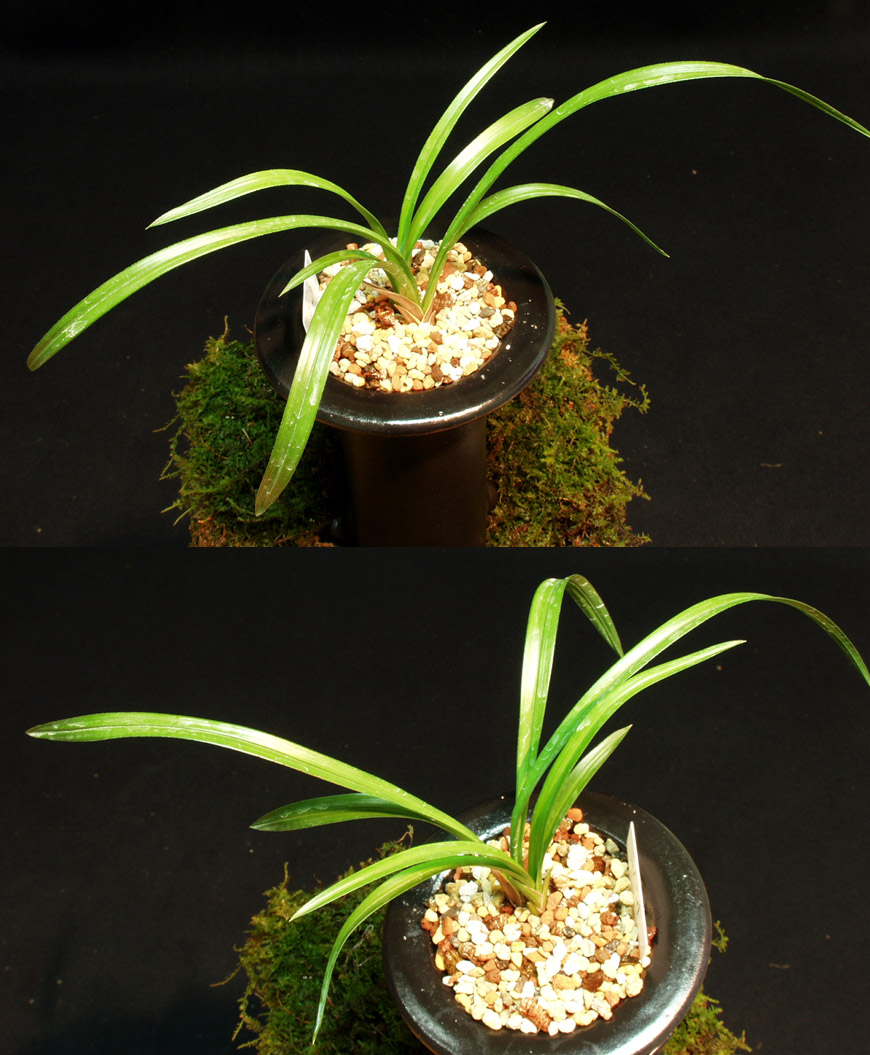 ������ ū������ �� �� �ֽ��ϴ�.