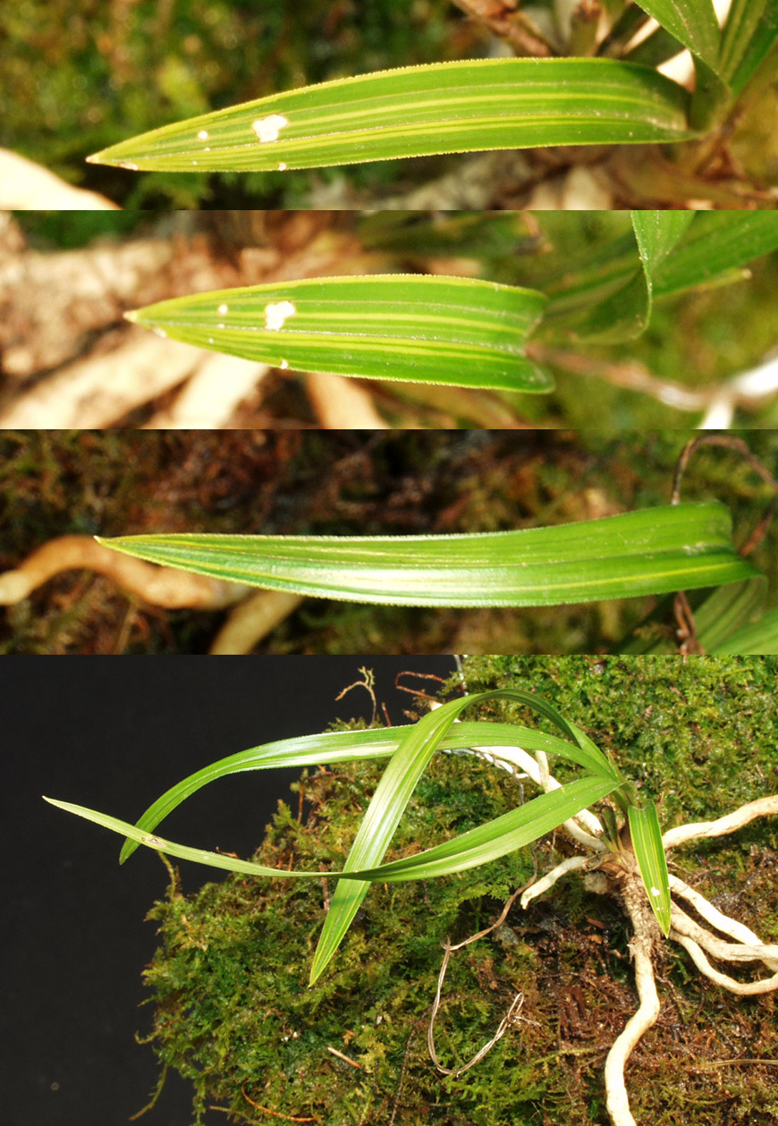 ������ ū������ �� �� �ֽ��ϴ�.