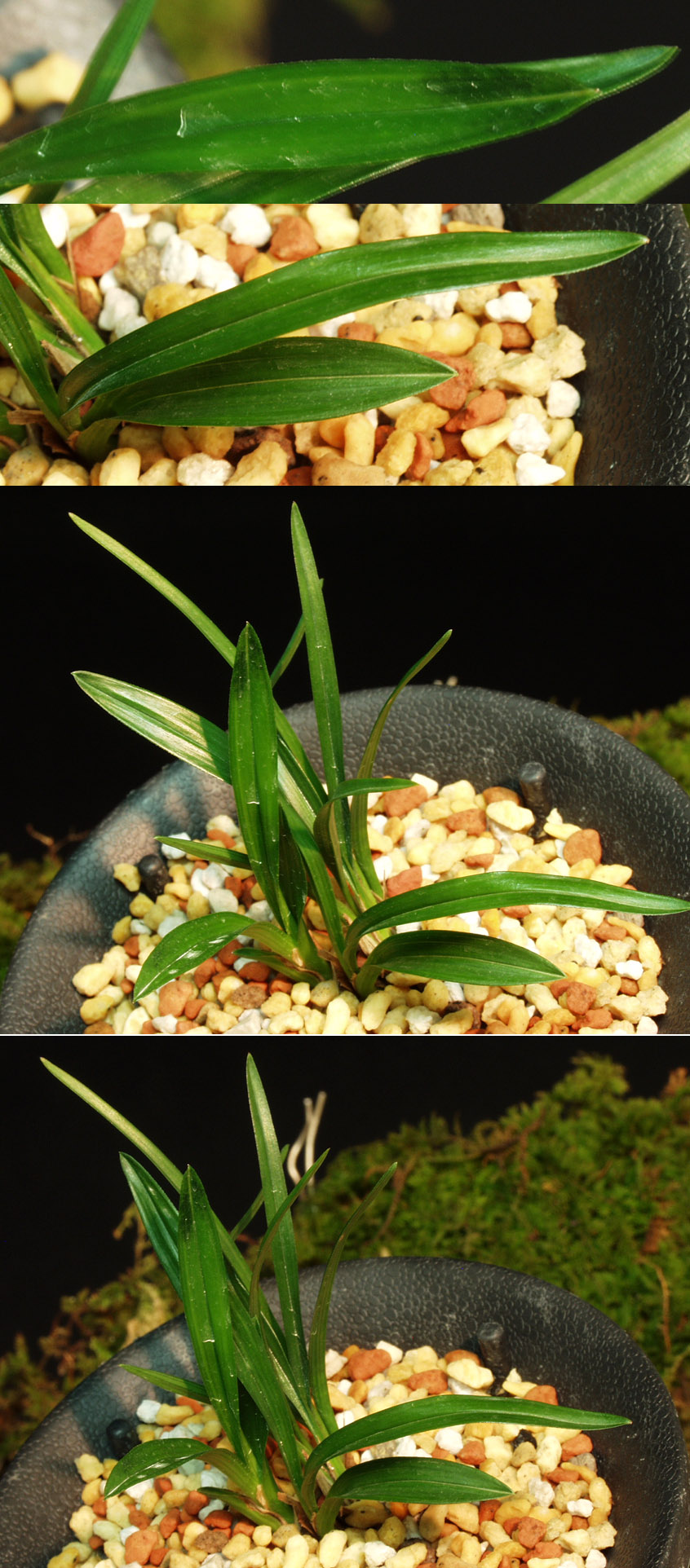 ������ ū������ �� �� �ֽ��ϴ�.