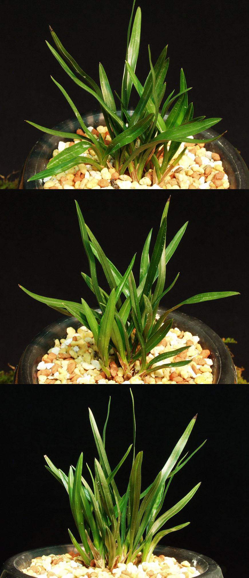 ������ ū������ �� �� �ֽ��ϴ�.