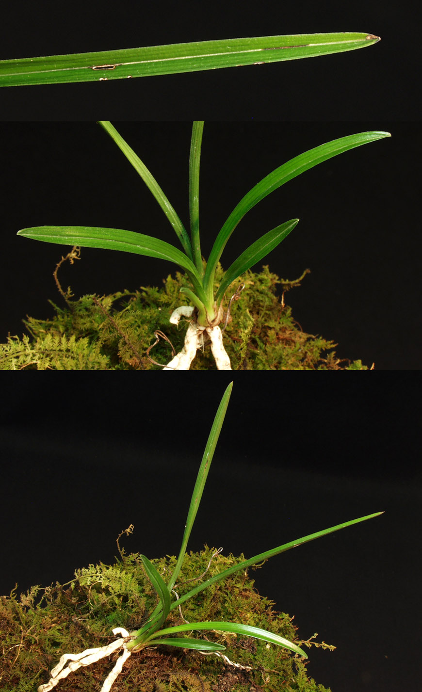 ������ ū������ �� �� �ֽ��ϴ�.