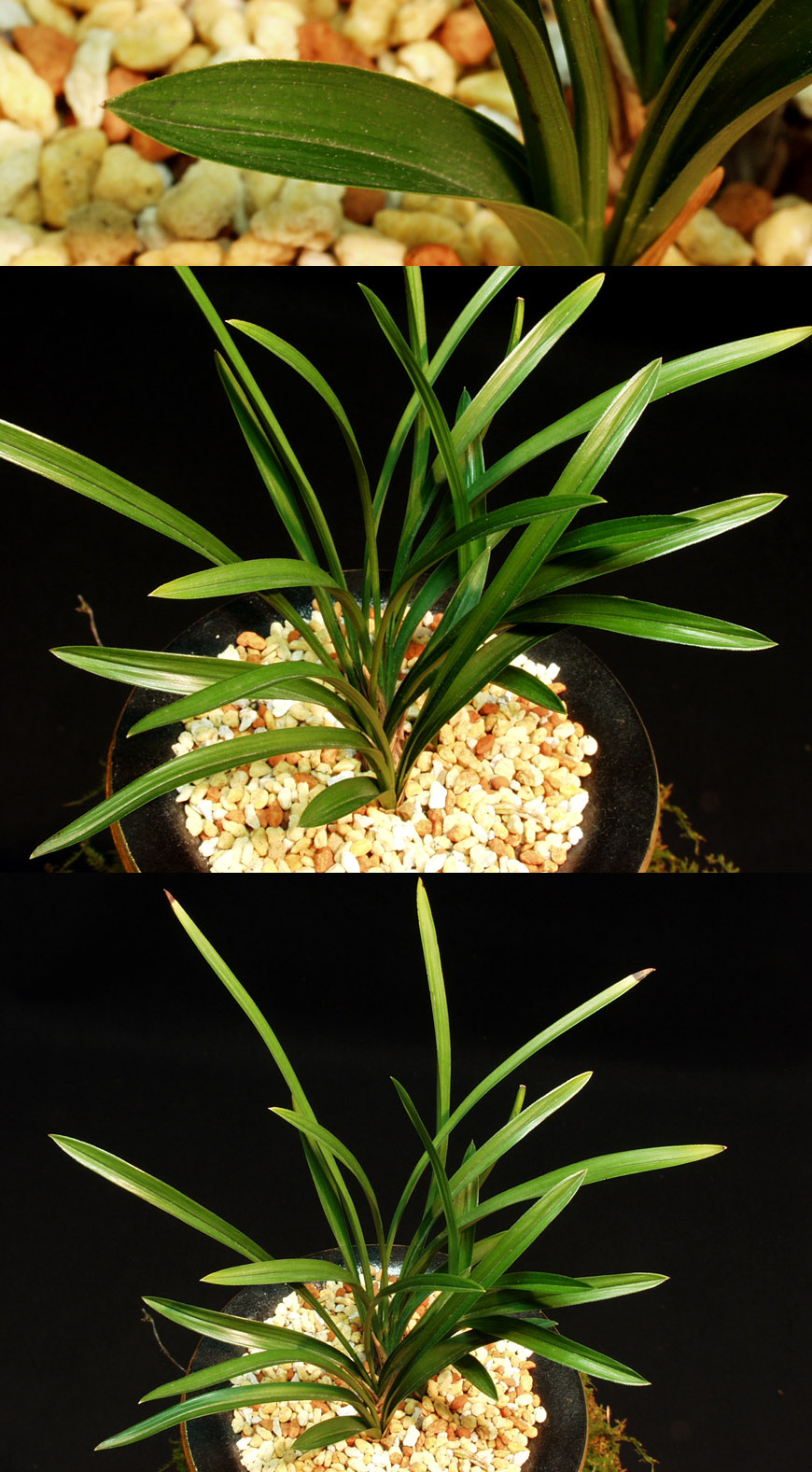 ������ ū������ �� �� �ֽ��ϴ�.