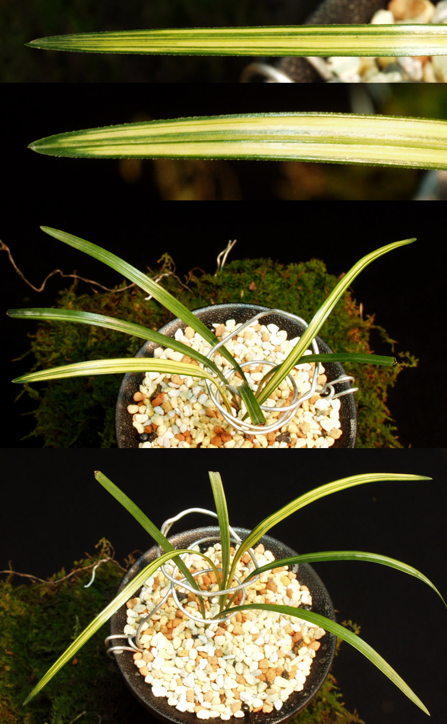 ������ ū������ �� �� �ֽ��ϴ�.