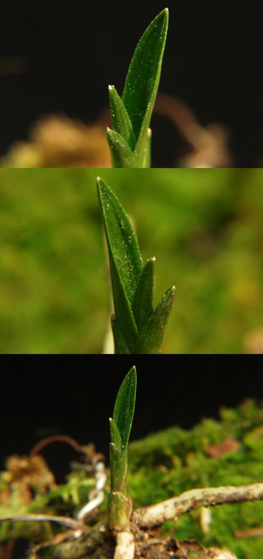 ������ ū������ �� �� �ֽ��ϴ�.