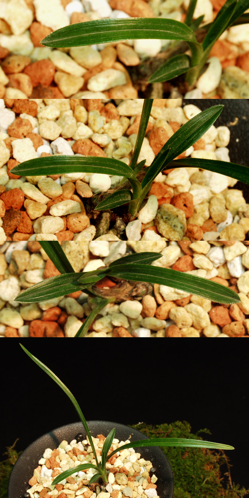 ������ ū������ �� �� �ֽ��ϴ�.