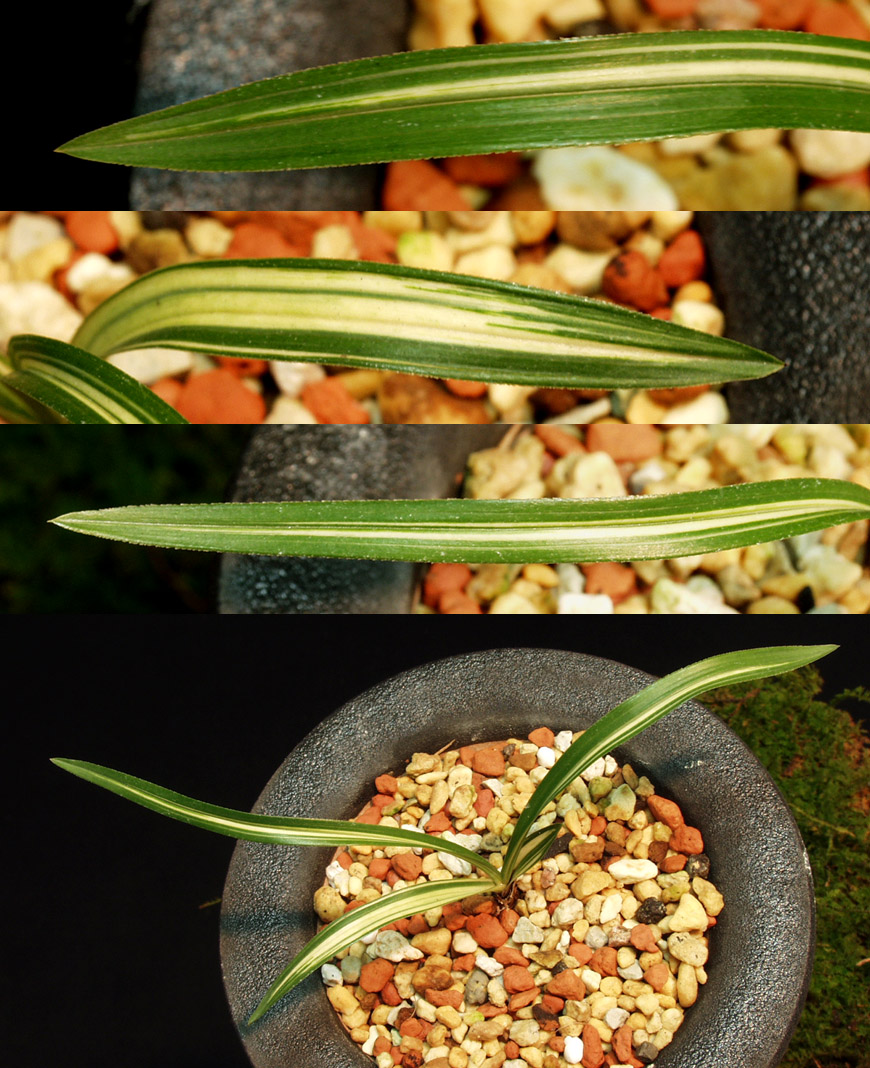 ������ ū������ �� �� �ֽ��ϴ�.