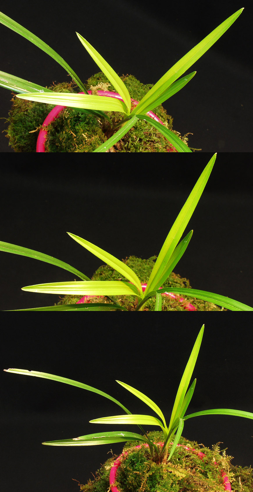 ������ ū������ �� �� �ֽ��ϴ�.