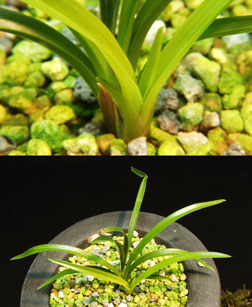 ������ ū������ �� �� �ֽ��ϴ�.