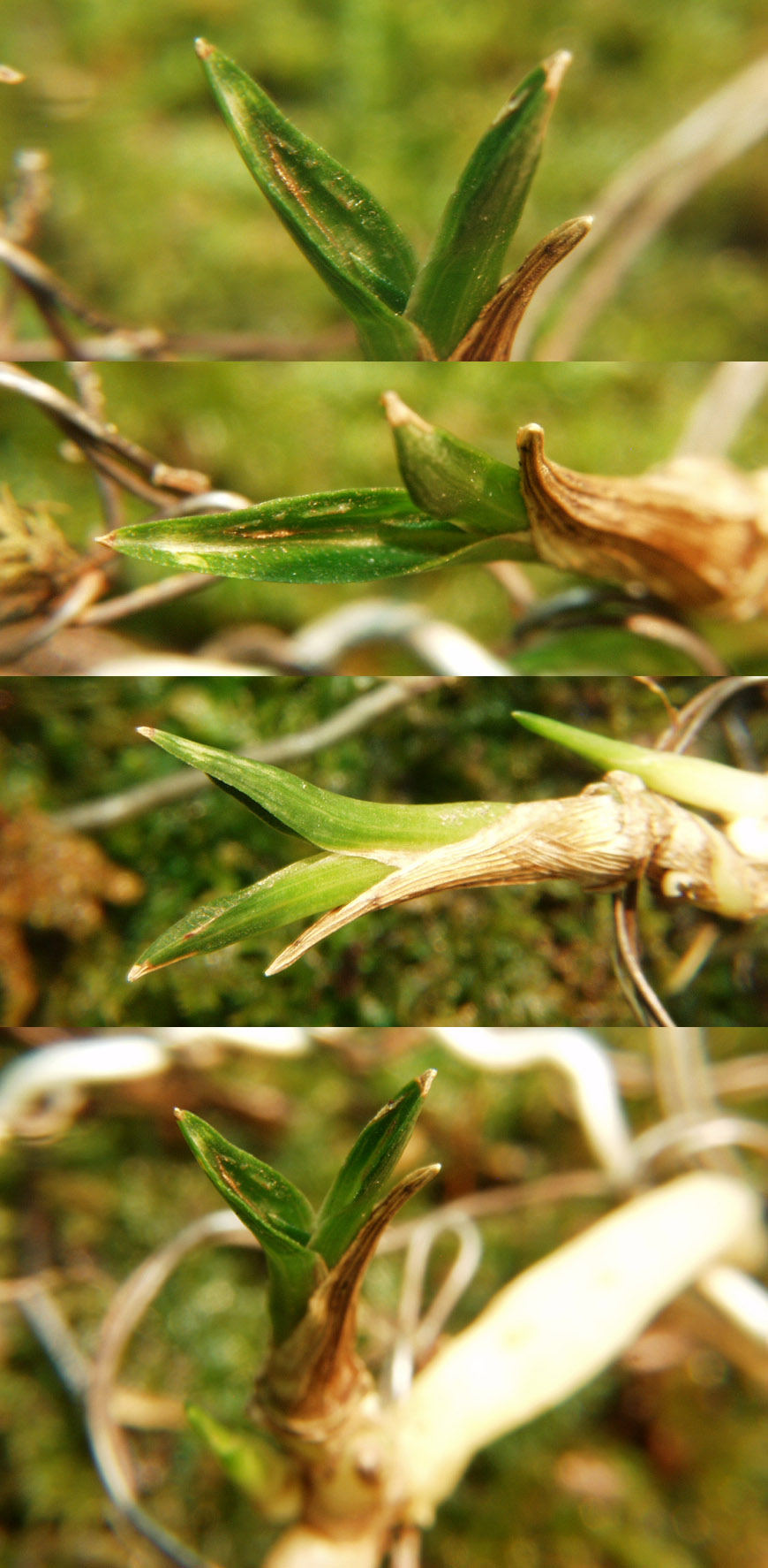 ������ ū������ �� �� �ֽ��ϴ�.