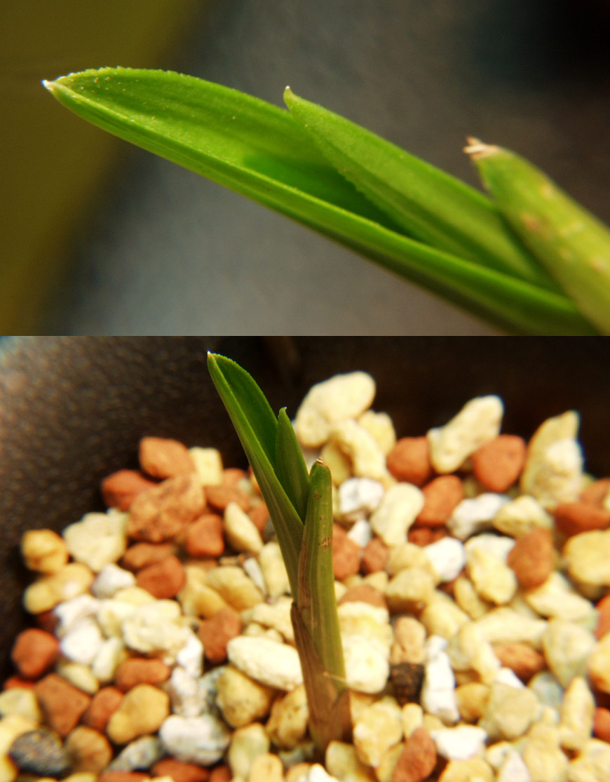 ������ ū������ �� �� �ֽ��ϴ�.