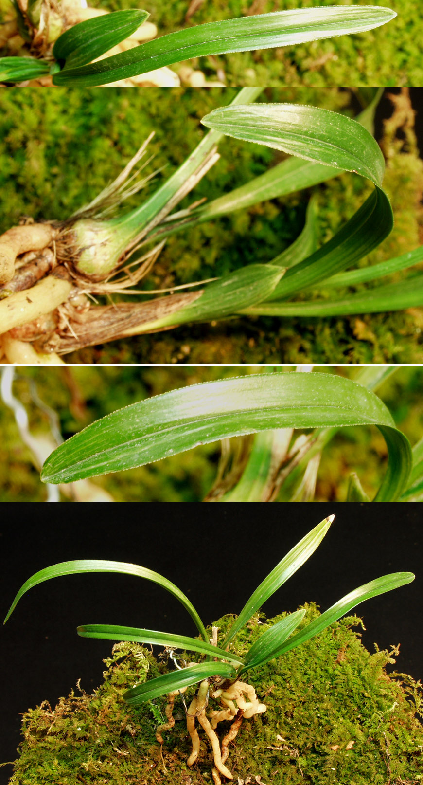 ������ ū������ �� �� �ֽ��ϴ�.