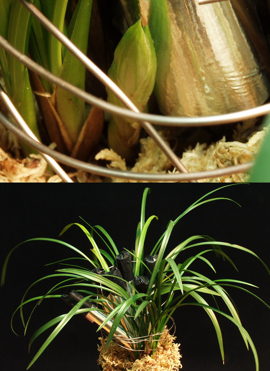 ������ ū������ �� �� �ֽ��ϴ�.