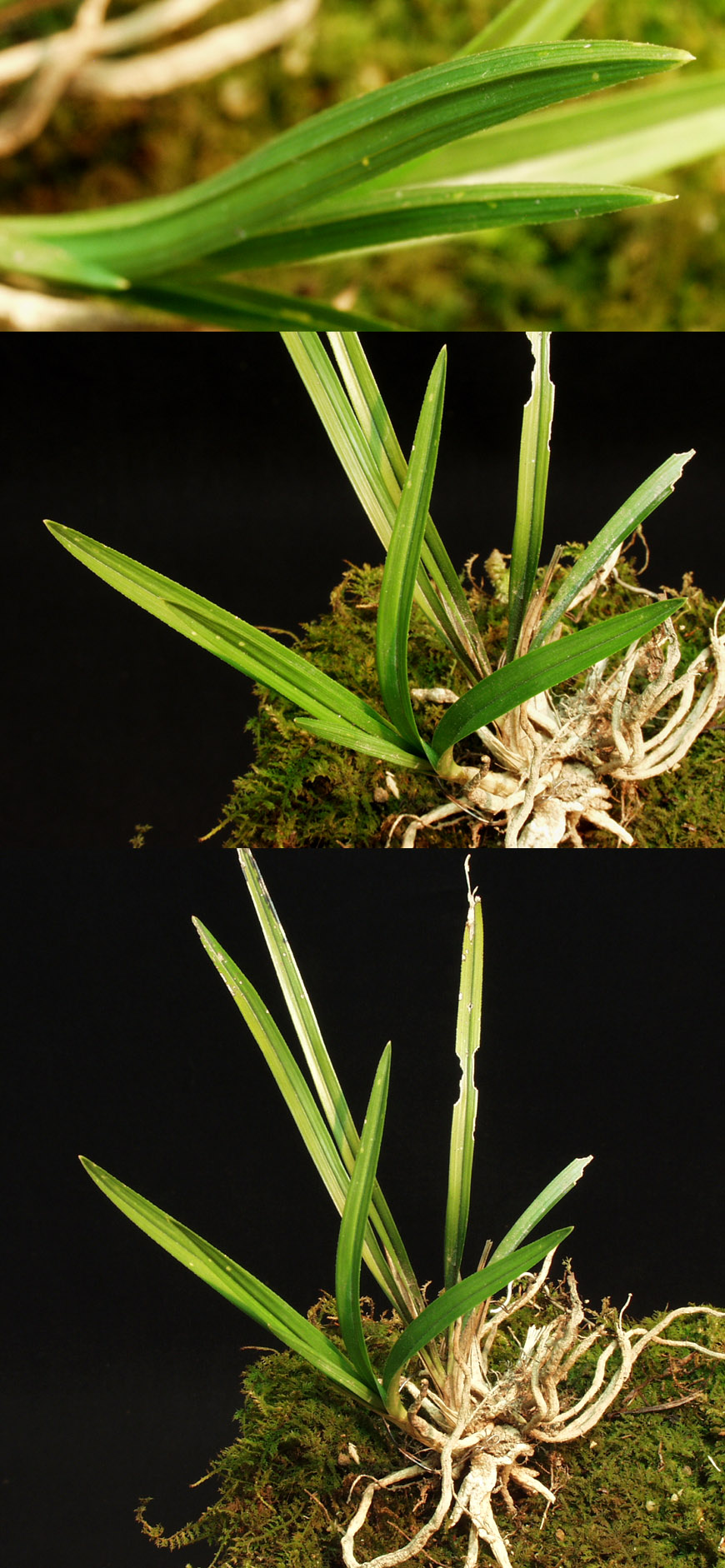 ������ ū������ �� �� �ֽ��ϴ�.