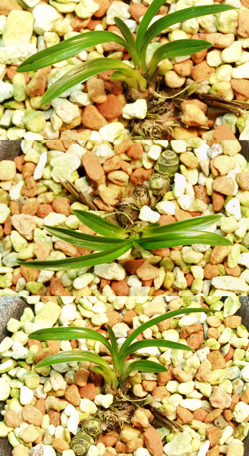 ������ ū������ �� �� �ֽ��ϴ�.