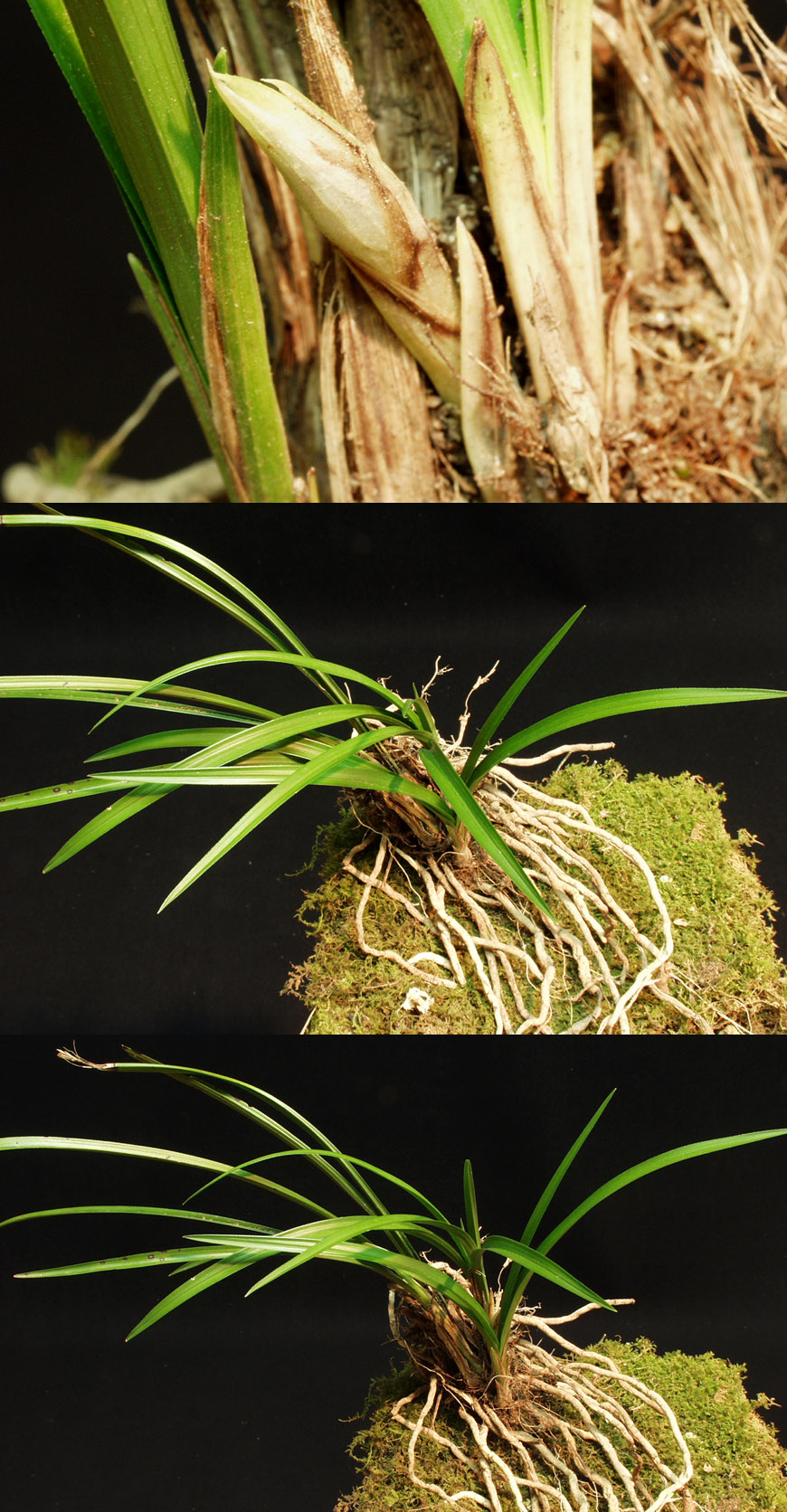 ������ ū������ �� �� �ֽ��ϴ�.