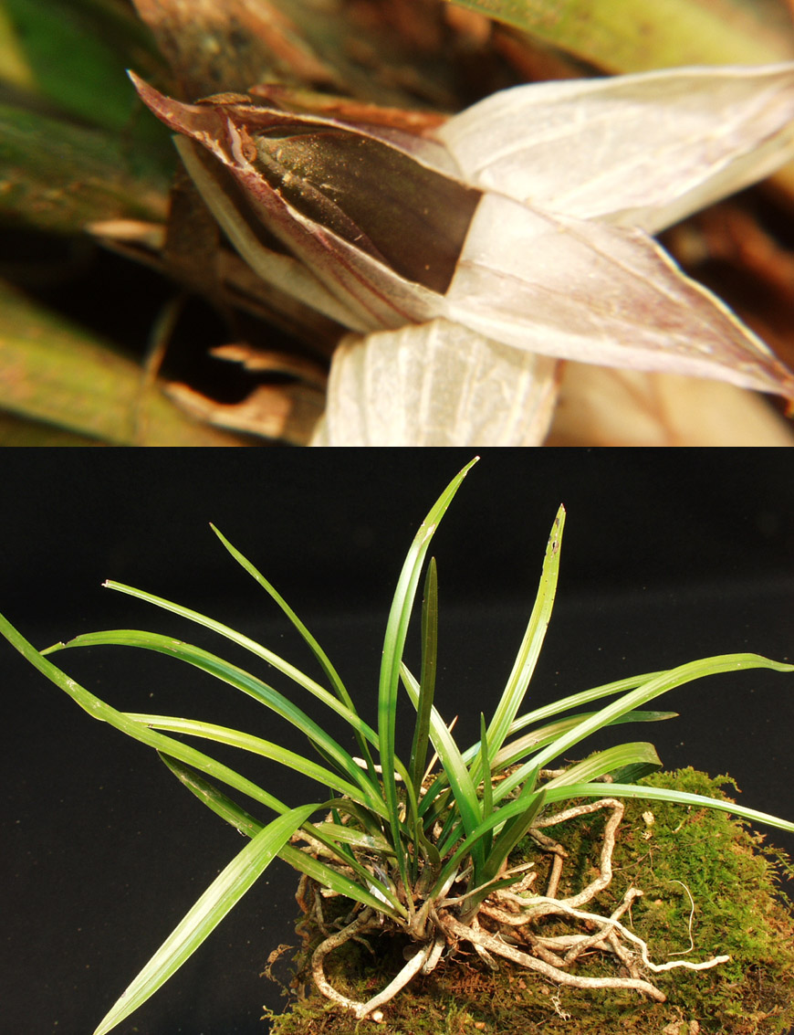 ������ ū������ �� �� �ֽ��ϴ�.