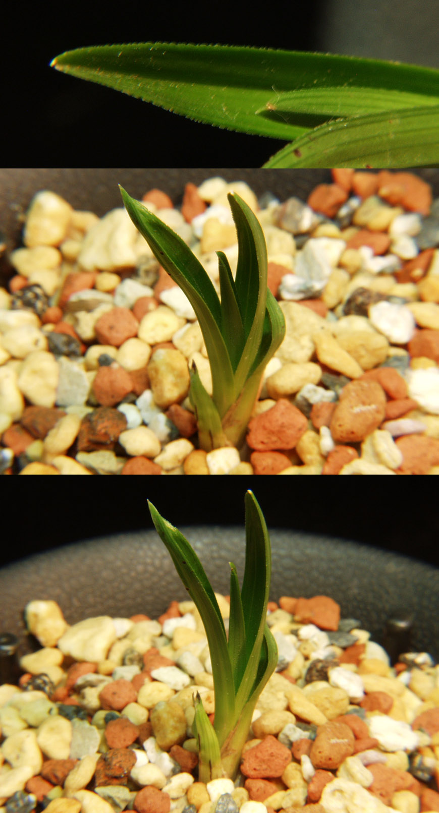 ������ ū������ �� �� �ֽ��ϴ�.