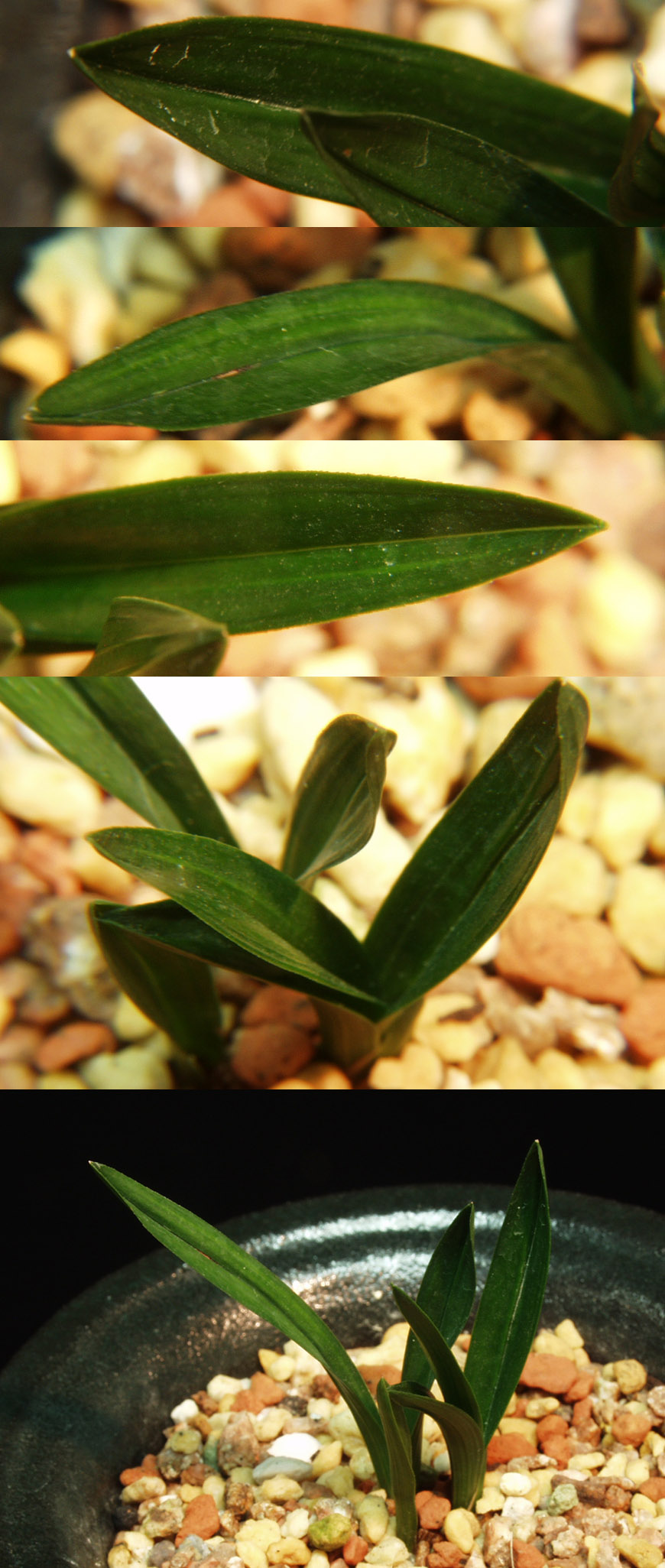 ������ ū������ �� �� �ֽ��ϴ�.